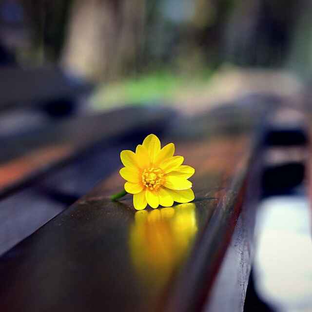 3举报                    回复0 赞 裙带关系,根深蒂固 手机用户