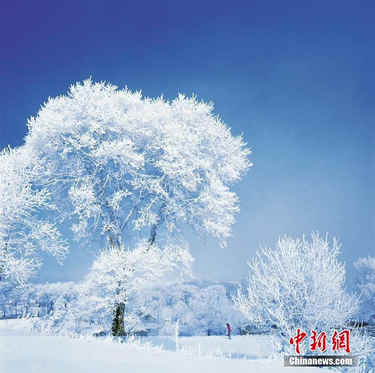 吉林:寻找雾凇岛